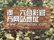 种植基地八(图1)