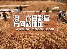 种植基地二