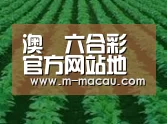 种植基地六