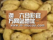 产品展示标题6